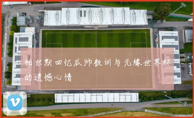 帕尔默回忆瓜帅教训与无缘世界杯的遗憾心情